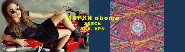 хмурый Абаза