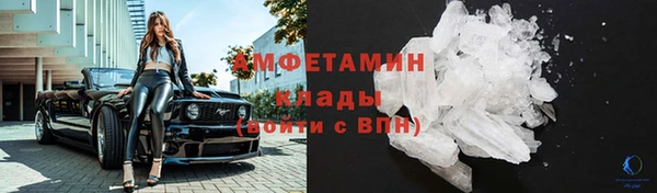 хмурый Абаза