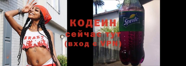 хмурый Абаза