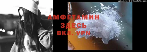 хмурый Абаза