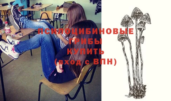 мдпв Абинск