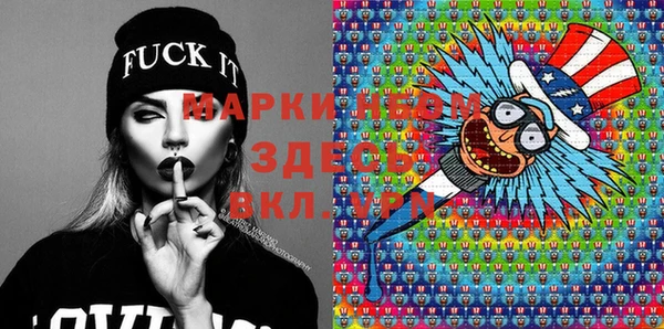 хмурый Абаза