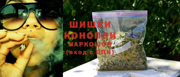хмурый Абаза