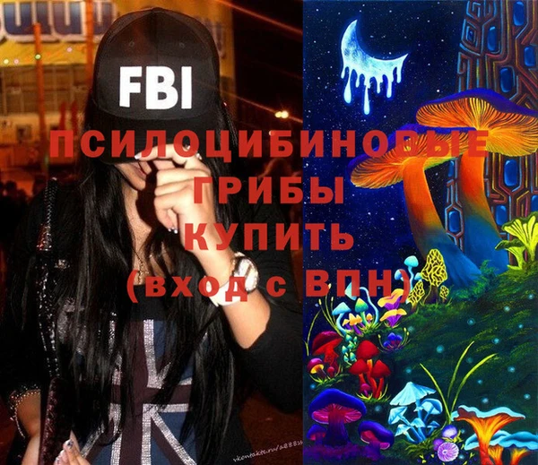 мдпв Абинск